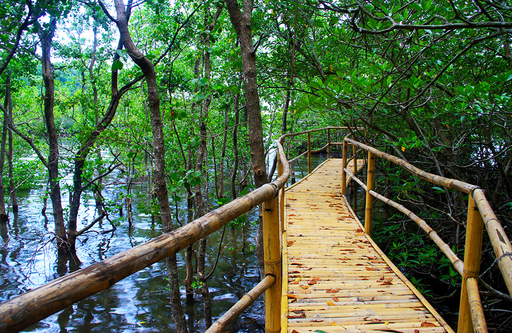 Discover Puerto Galera In This Drive And Dive Circuit