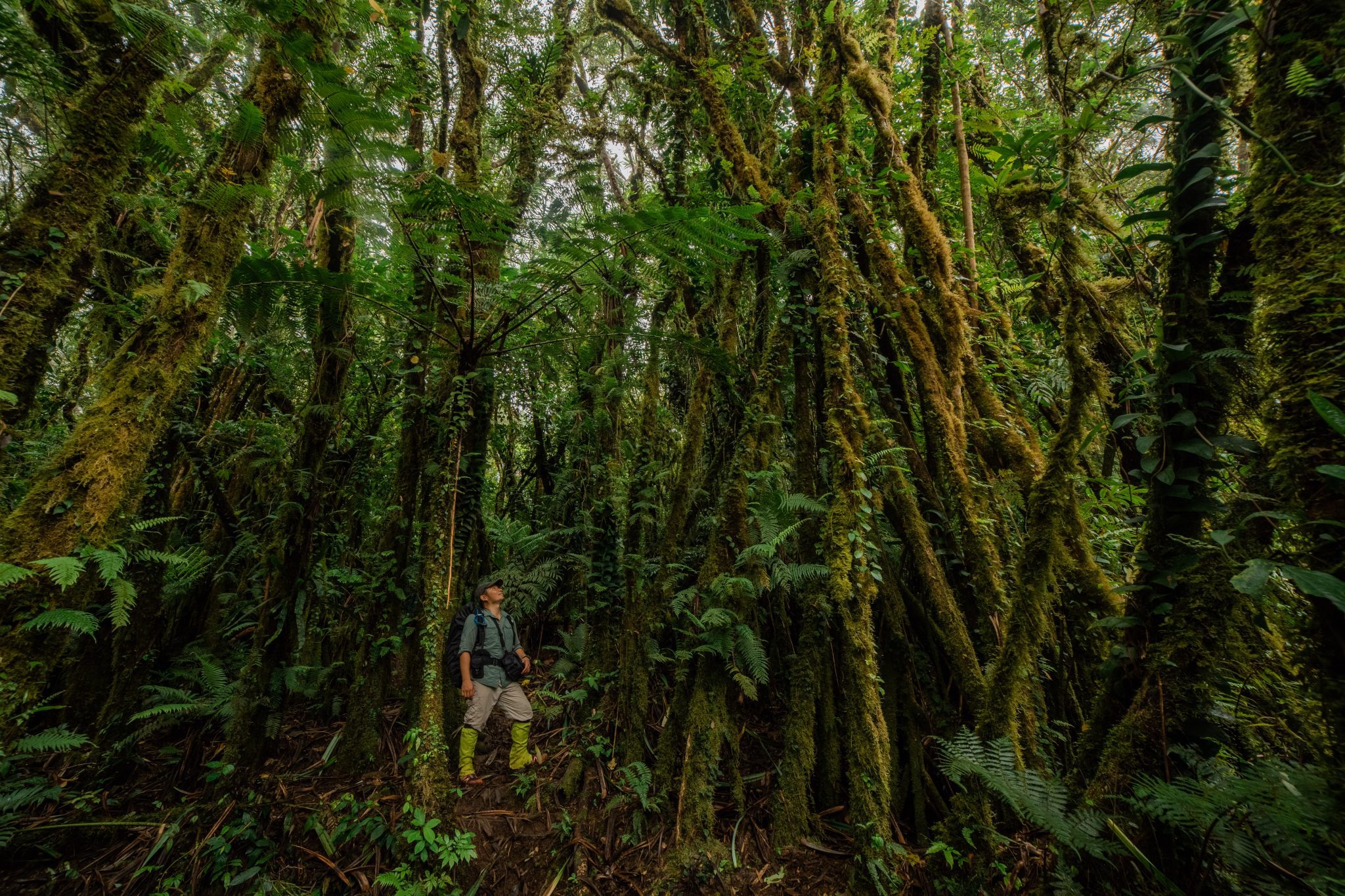 Visiting Mounts Timpoong Hibokhibok Natural Monument